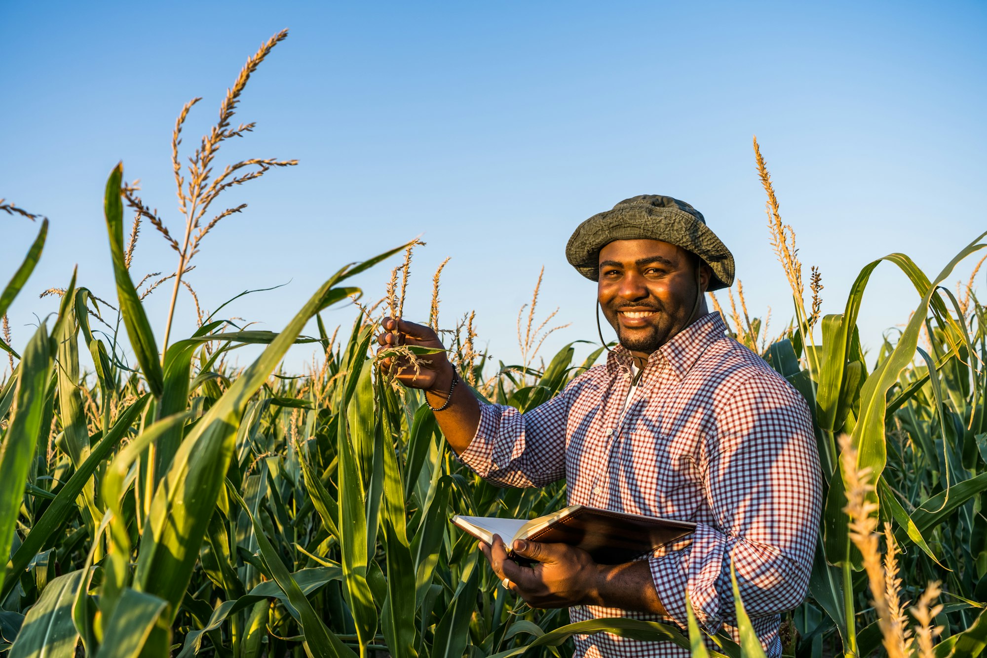 Farmer